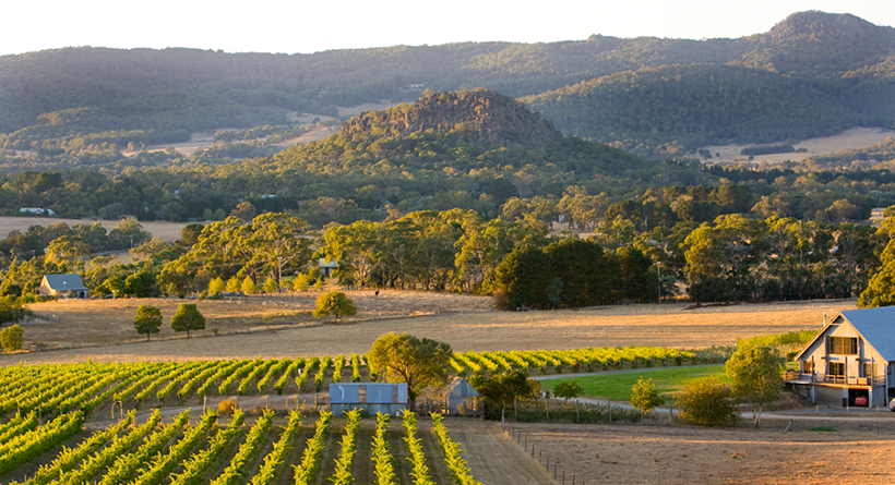 Hanging Rock Vineyard